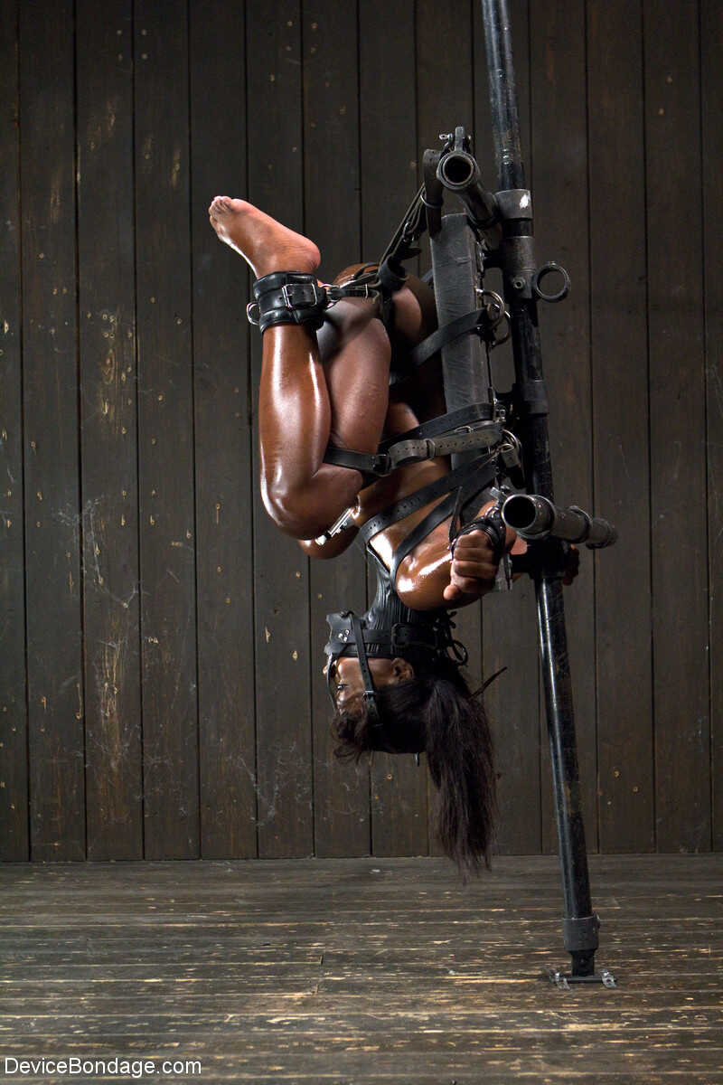 Ravishing Ana Foxxx's Black Holes Get Stuffed by Dominating Mistress Ranie Mae in a Kinky BDSM Scene - Ana Foxxx, Ran...