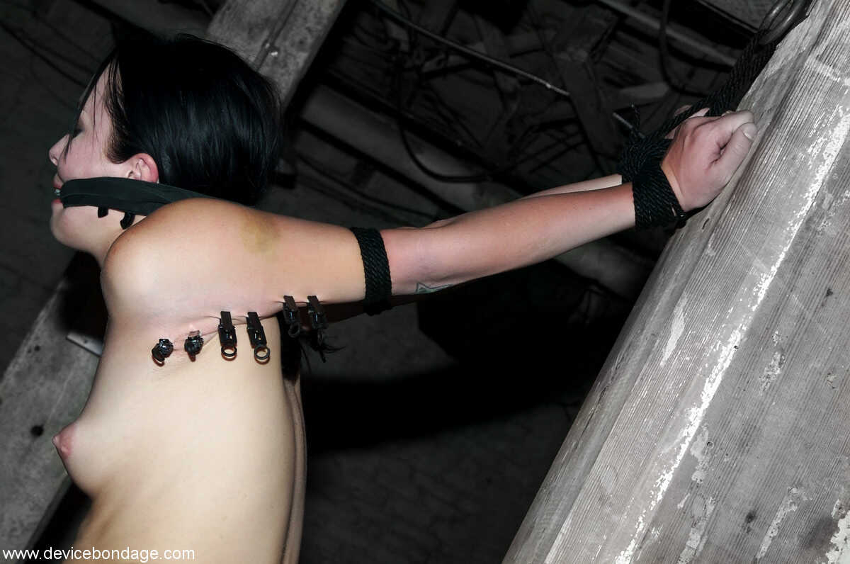 Bound brunette Alexa Von Tess getting her bald snatch toyed in the dungeon 2: Delilah Strong's MILF BDSM adventure - ...