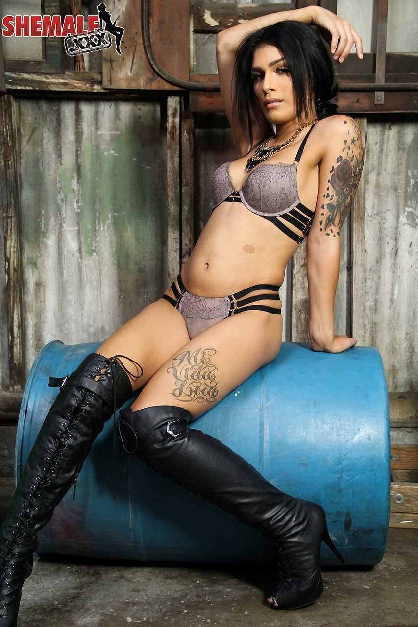 Aubrey Starr's Small Tattooed Dicks and Sexy Striptease - Aubrey Starr