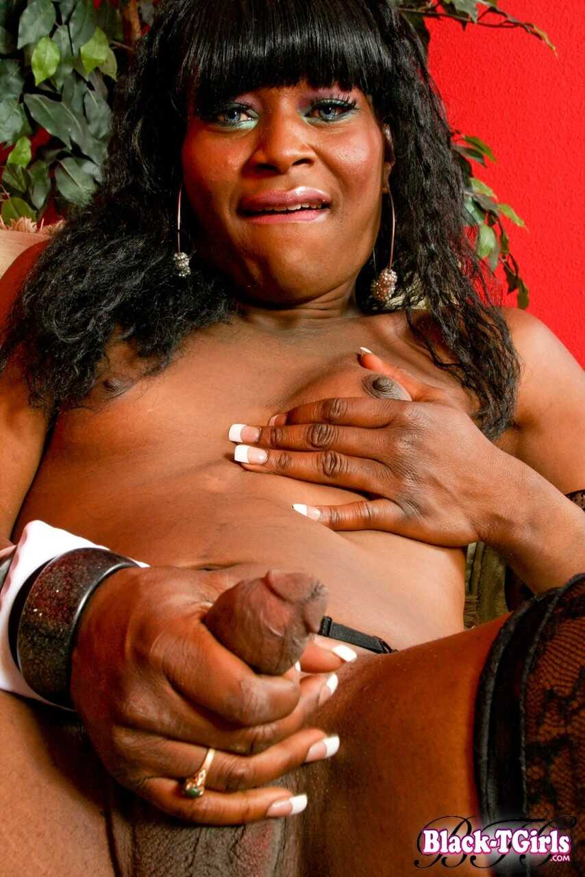 Kinky Black Transsexual Adventures with Katy Samyra - Katy Samyra
