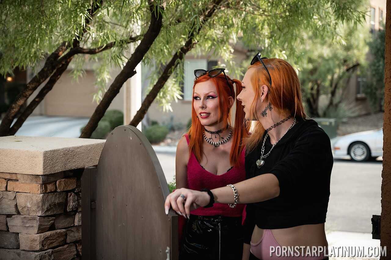 Redhead Robin Coffins' Shemale Threesome with Foxxy and Nikki Vicious Ends in a Big Cock Deepthroat Cumshot Surprise ...