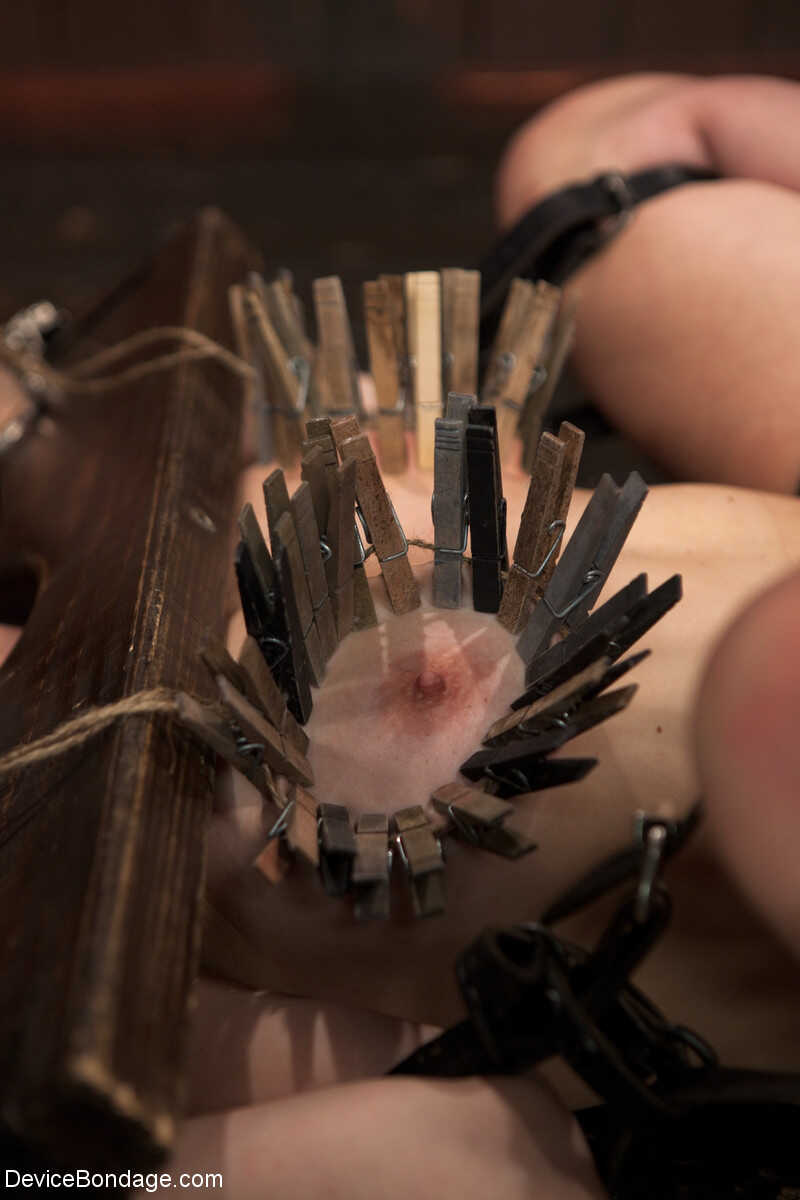 Submissive Bella Rossi getting brutally dominated by Selena Kyle & Mz Berlin - Bella Rossi, Claire Adams, Mz Berlin, S...