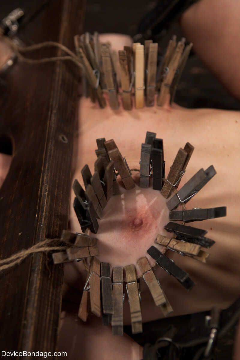 Submissive Bella Rossi getting brutally dominated by Selena Kyle & Mz Berlin - Bella Rossi, Claire Adams, Mz Berlin, S...