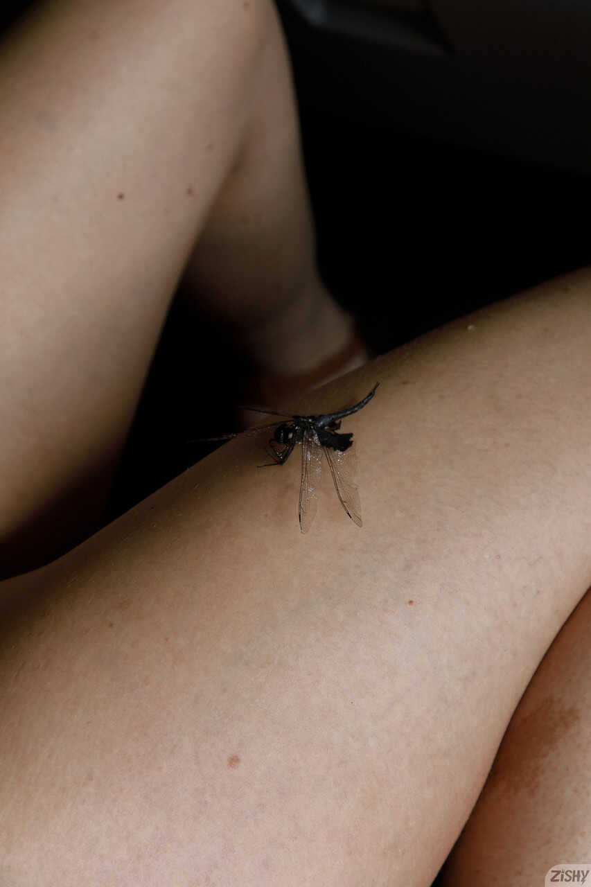 Blonde Emily Right's Thighs Dragonfly Assentertainment(Note: The word 'entertainment' is a play on the phra...