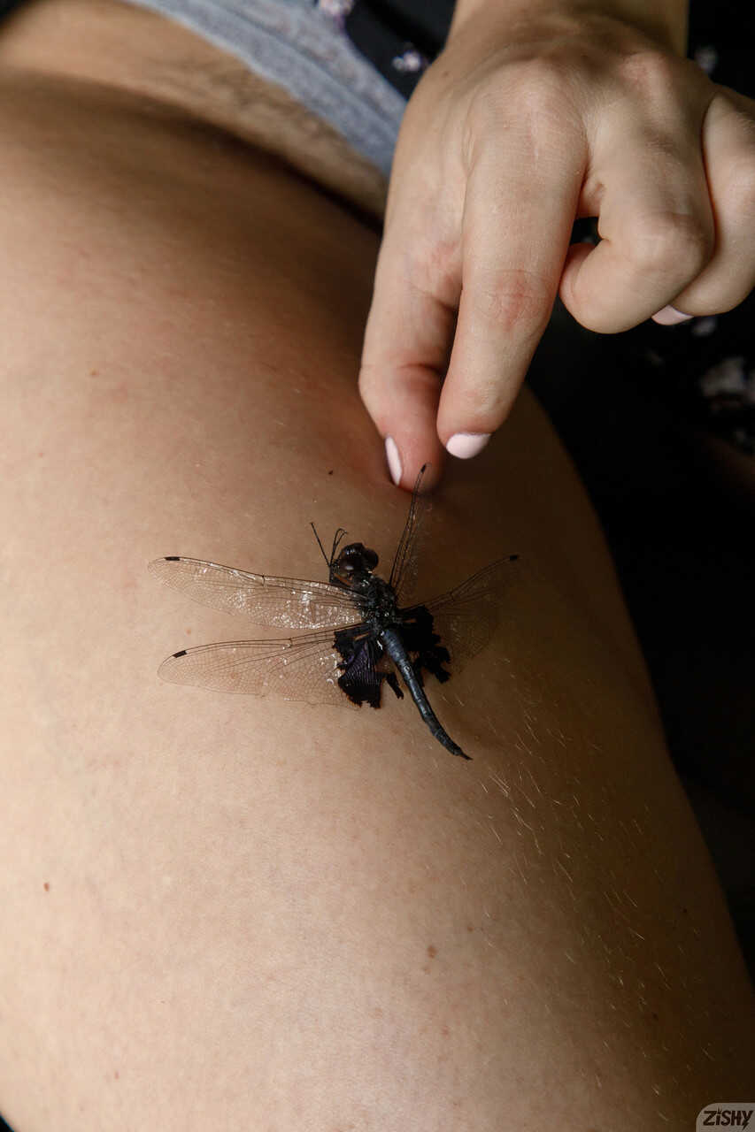 Blonde Emily Right's Thighs Dragonfly Assentertainment(Note: The word 'entertainment' is a play on the phra...
