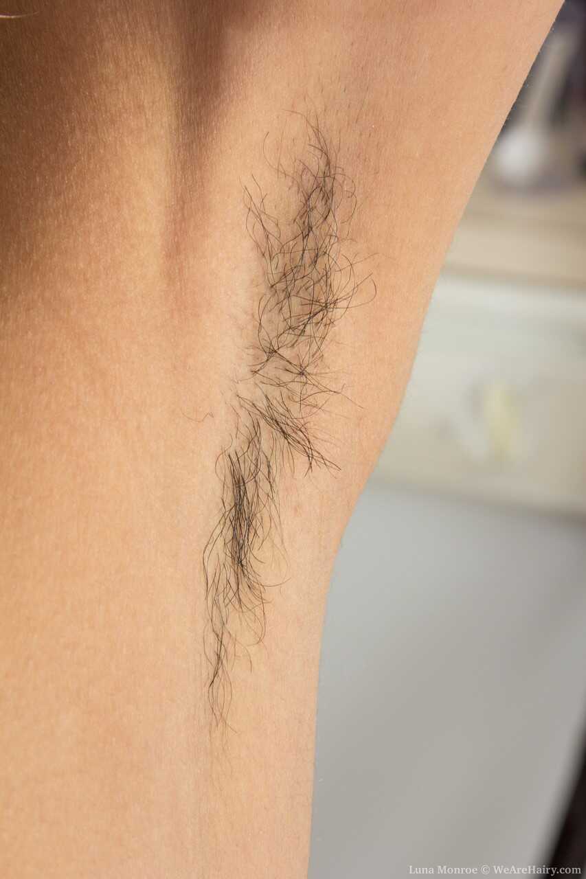 Luna Monroe's Hairy Pussy Show: A Skinny Natural Brunette with Erect Nipples Rubbing Her Super Hairy Spreading Pussy ...