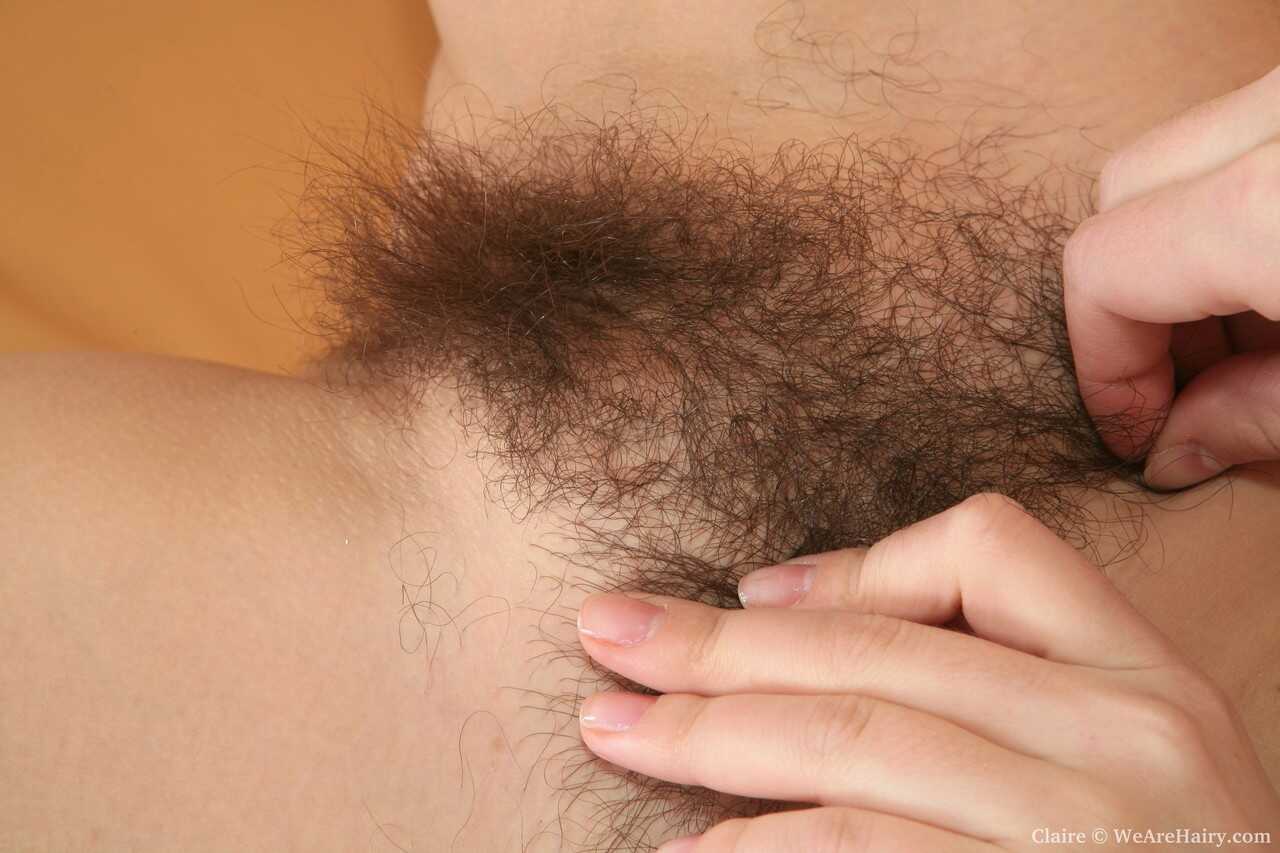 Natural Beauty: Sweet teen Claire exposes her saggy boobs and hairy muff in a solo hairy pussy lingerie show - Claire