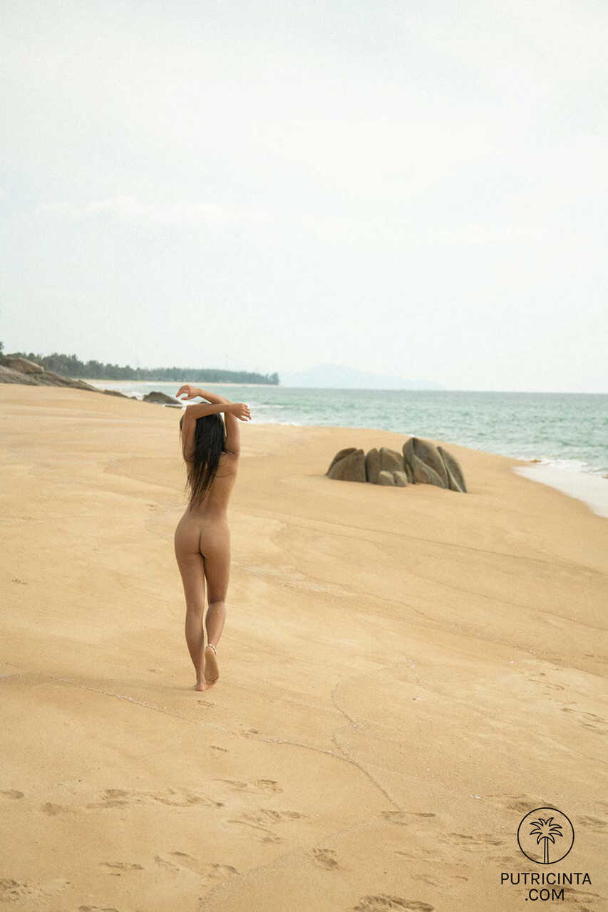 Skinny Solo Petite Brunette Asian Babe Danie Jane's Nude Beach Posing Delights - Danie Jane