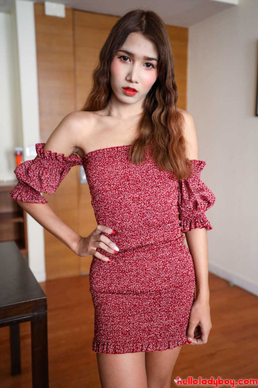 Shemale Goddess Annie Gives a Steamy Blowjob in Her Tiny Tits and Shemale Dress - 