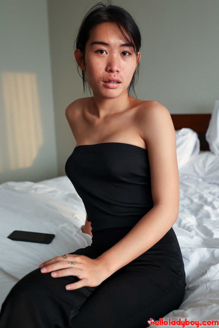 Abigail's Anal Adventure The Hot Asian Shemale Strips Her Tits and Ass in a Sexy Lap Dance for You! - 