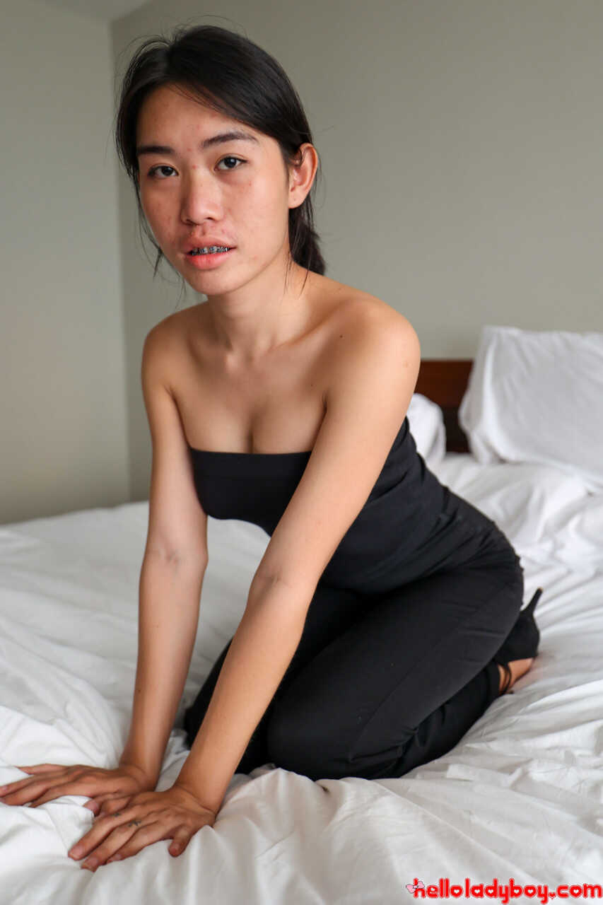 Abigail's Anal Adventure The Hot Asian Shemale Strips Her Tits and Ass in a Sexy Lap Dance for You! - 