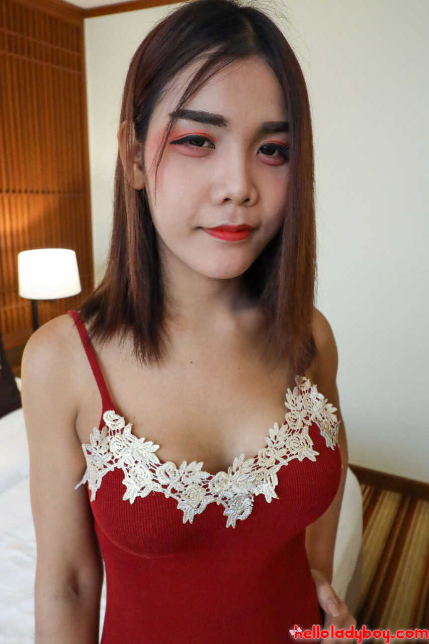 Asian Babe with Perfect Tits Gives a Hot Blowjob as a Cute Ladyboy in Sexy Panties - 