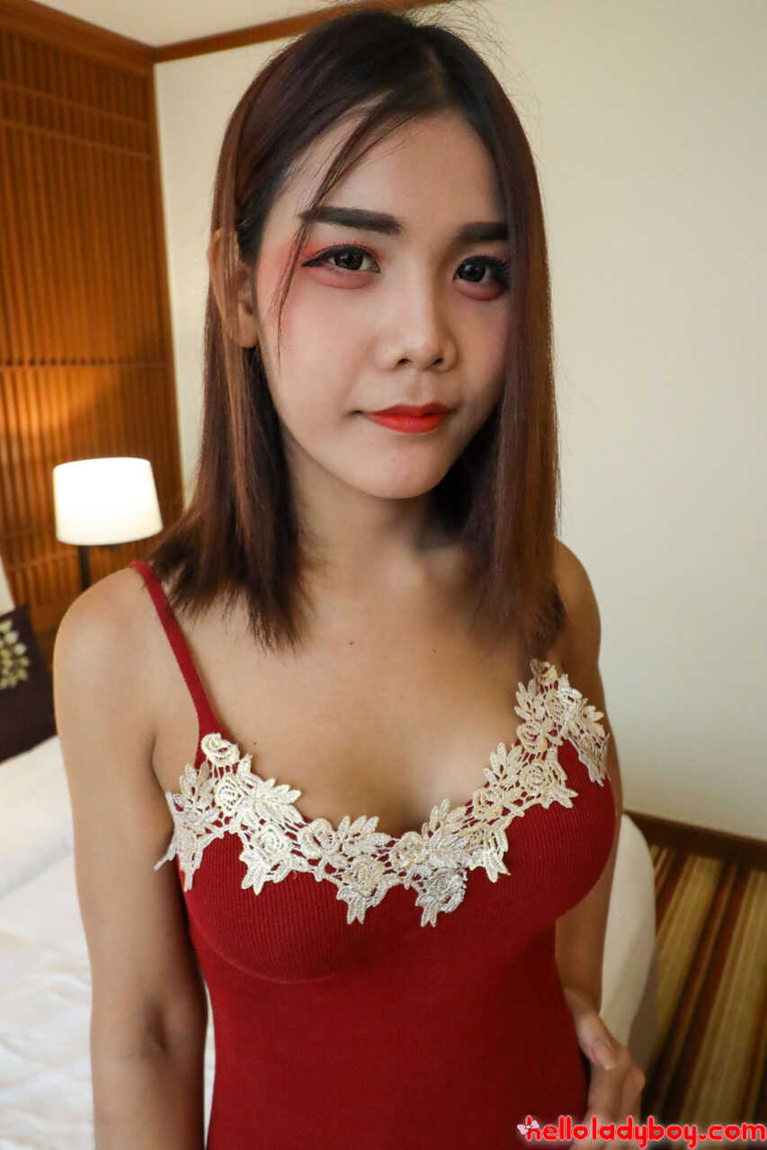 Asian Babe with Perfect Tits Gives a Hot Blowjob as a Cute Ladyboy in Sexy Panties - 