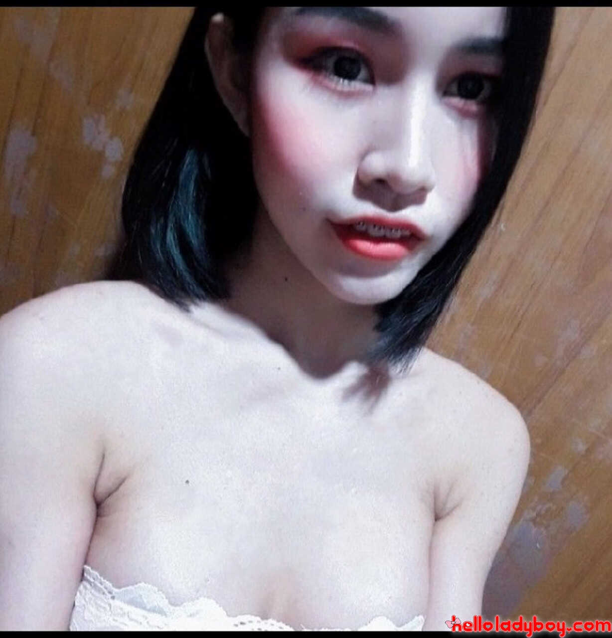 Asian Nancy’s Sexy Ladyboy Compilation: Teen Shemale in Various Sensational Outfits