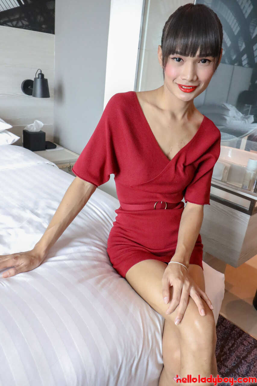 Brunette Asian Ladyboy Mei Poses in Red Dress Undies - Ladyboy Mei