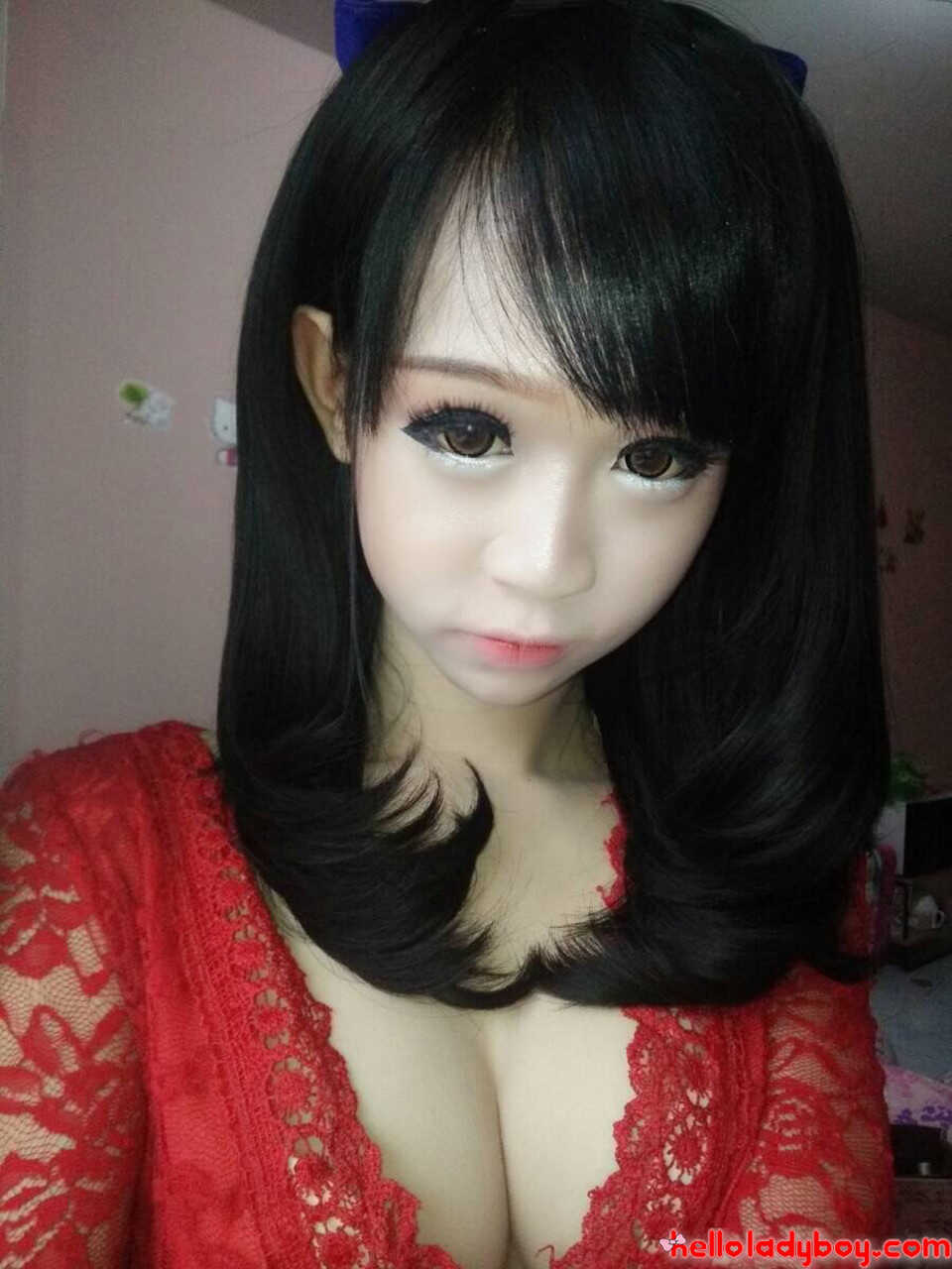 Asian Boob Queen A Huge Compilation of Shemales and Ladyboys 