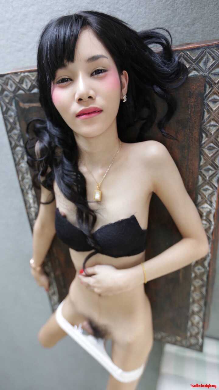 Brunette Asian shemale strips and shows off her hairy pussy before taking a big cock up her ass! - 