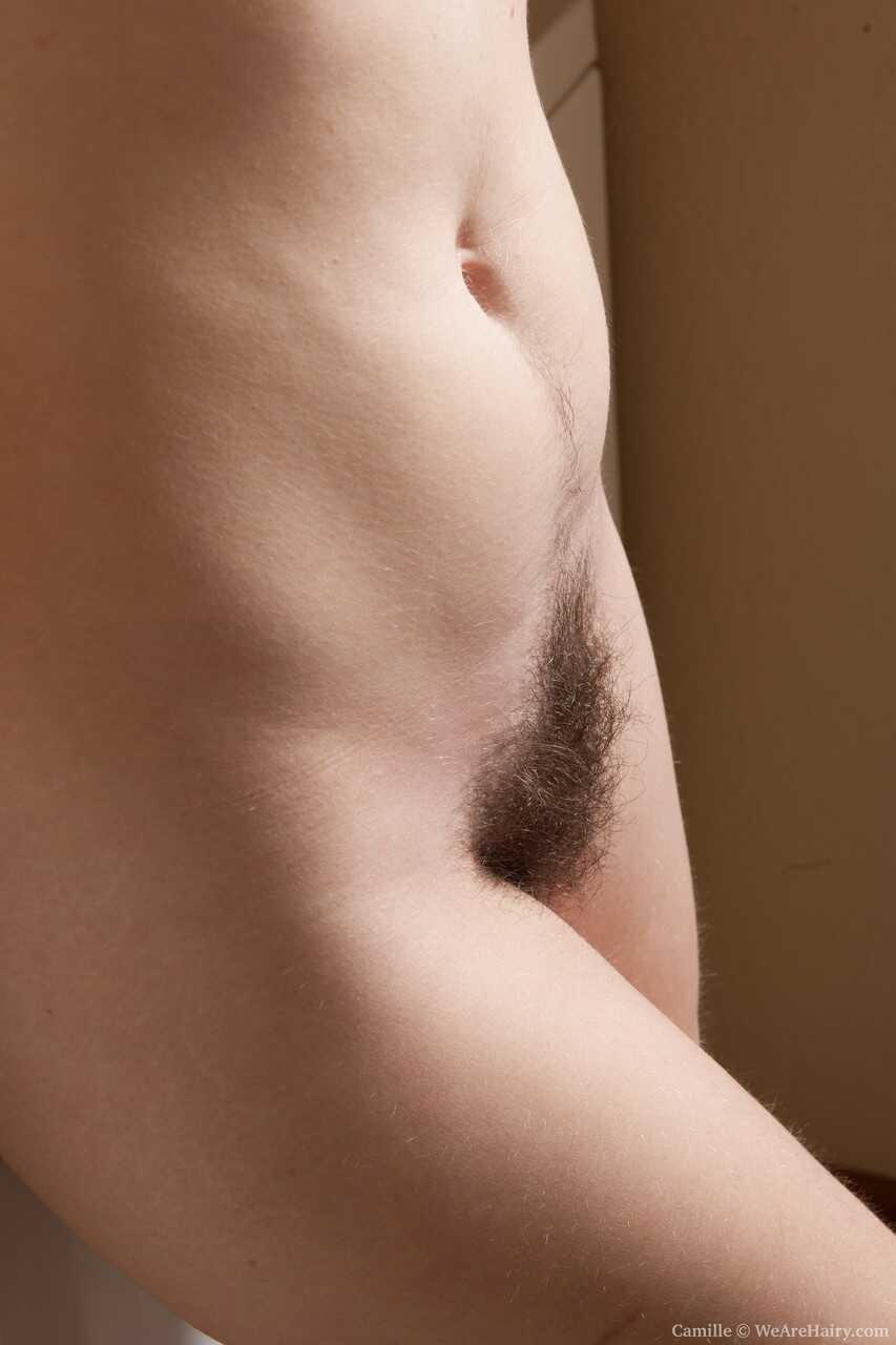 Hairy hottie Camille strips and shows her wet, bushy pussy on the washing machine - Camille