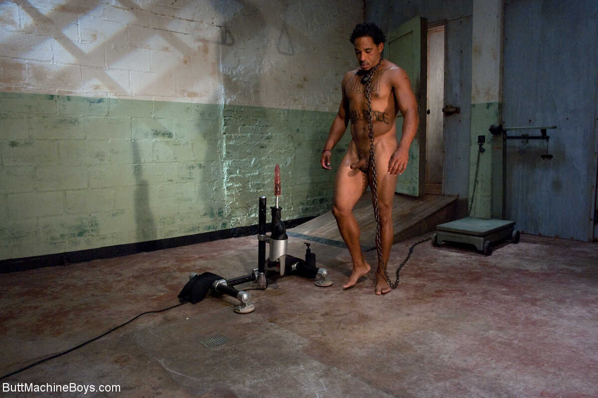 Gears of Lubrication: Butt Machine's Butt-Loving Machines. - 