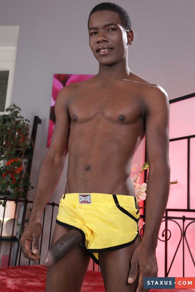 Black gay Devon LeBron and blonde twink Sven Laarson fuck hard bareback style - 