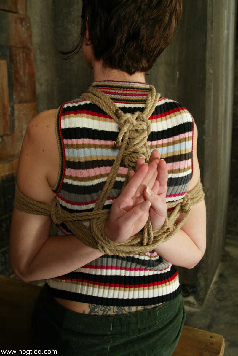 Trixie's Bound Initiation: The Short-Haired American Kitten Gets Tied Up By Her Cruel Master - trixie kitten