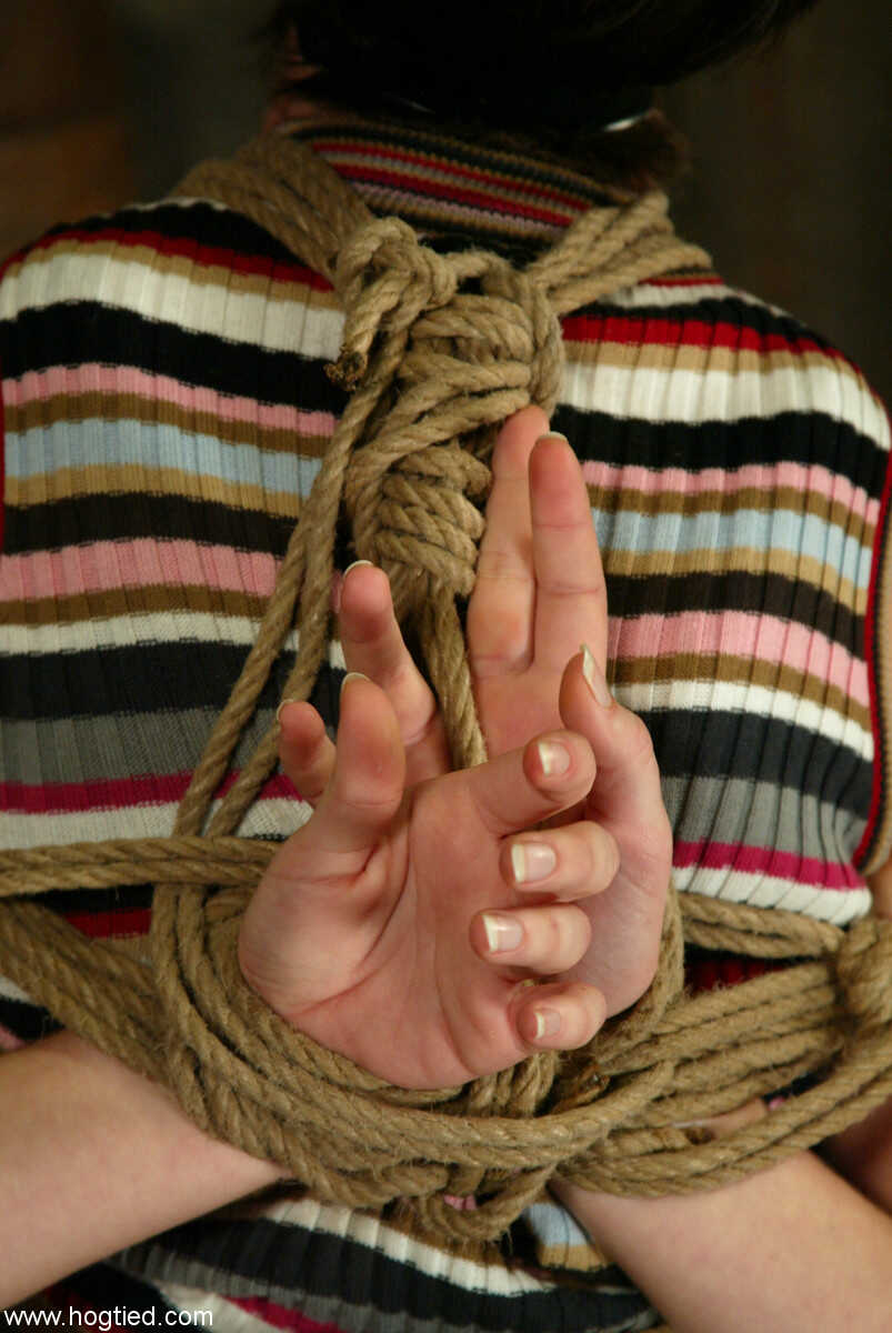 Trixie's Bound Initiation: The Short-Haired American Kitten Gets Tied Up By Her Cruel Master - trixie kitten