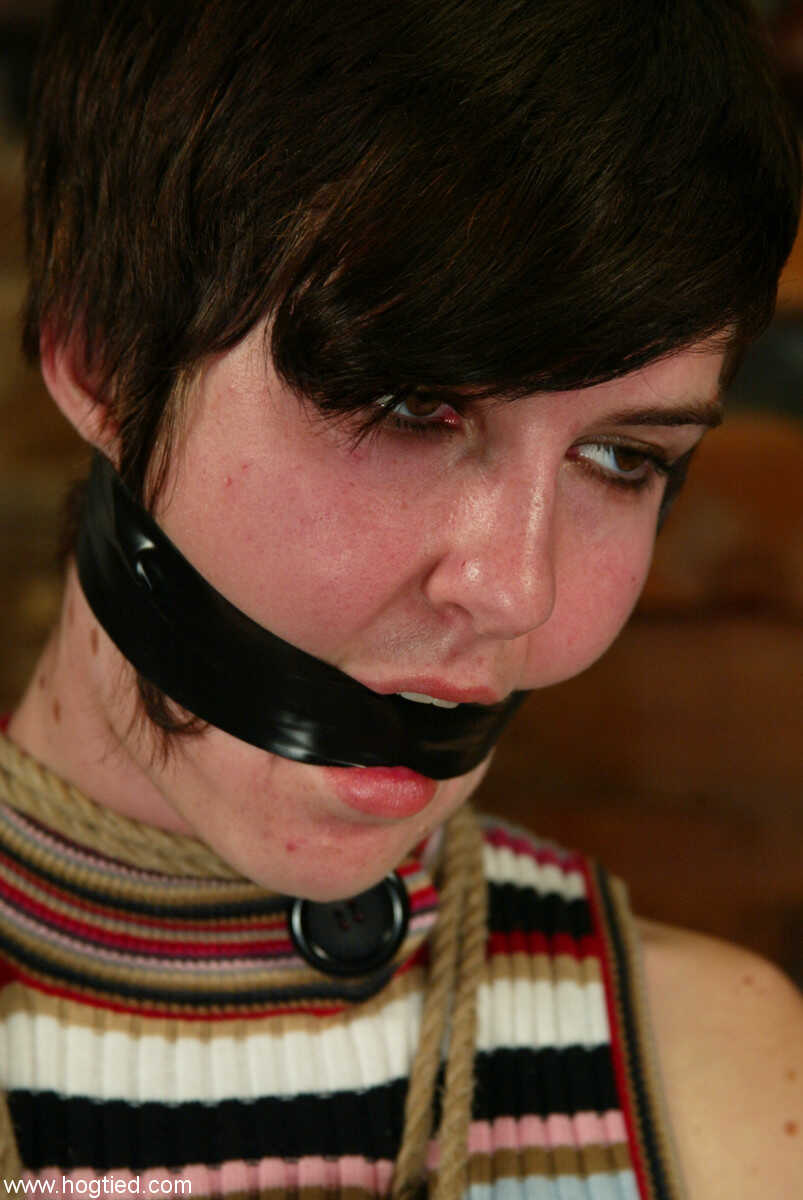 Trixie's Bound Initiation: The Short-Haired American Kitten Gets Tied Up By Her Cruel Master - trixie kitten
