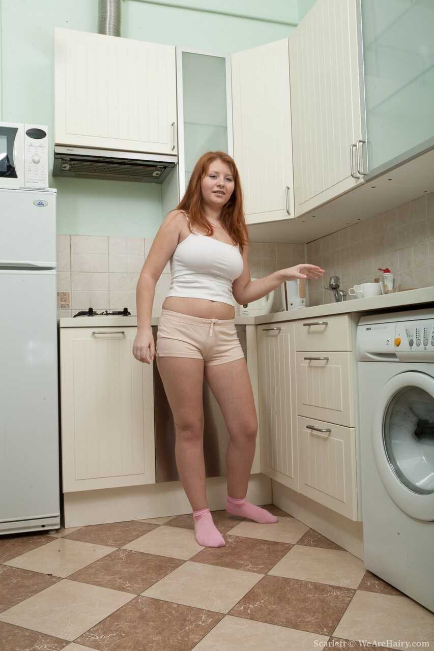 Hairy housewife Allison Grady strips down to her sexy red lingerie during a laundry session - Allison Grady