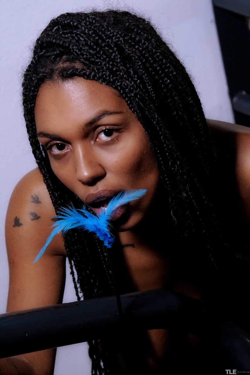 Samantha's Sweet Juggs and Dreaded Masturbation Session: Sofia's Dark Skin Delight - Sofia Cuty