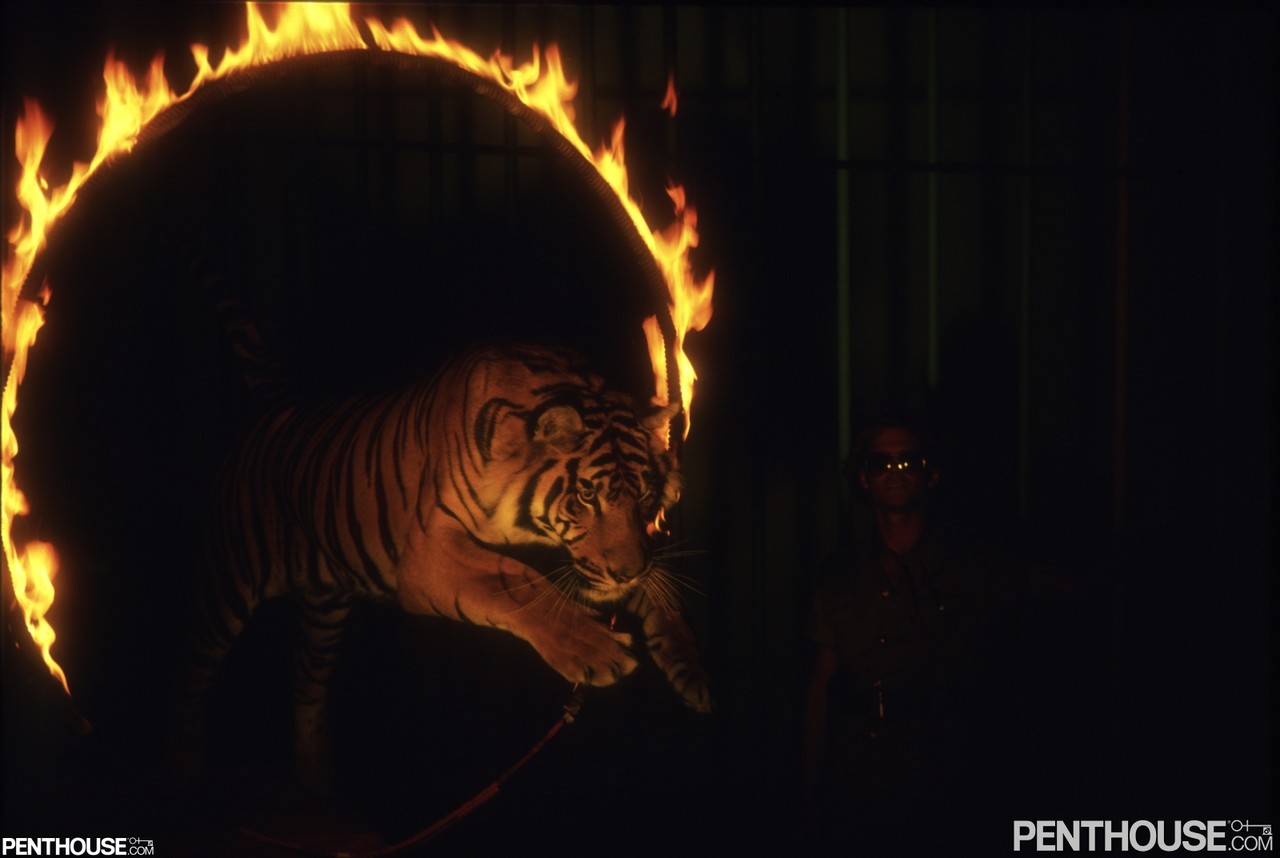 Monique Gabrielle Flashes Big Tits And Goes Wild With Her Man