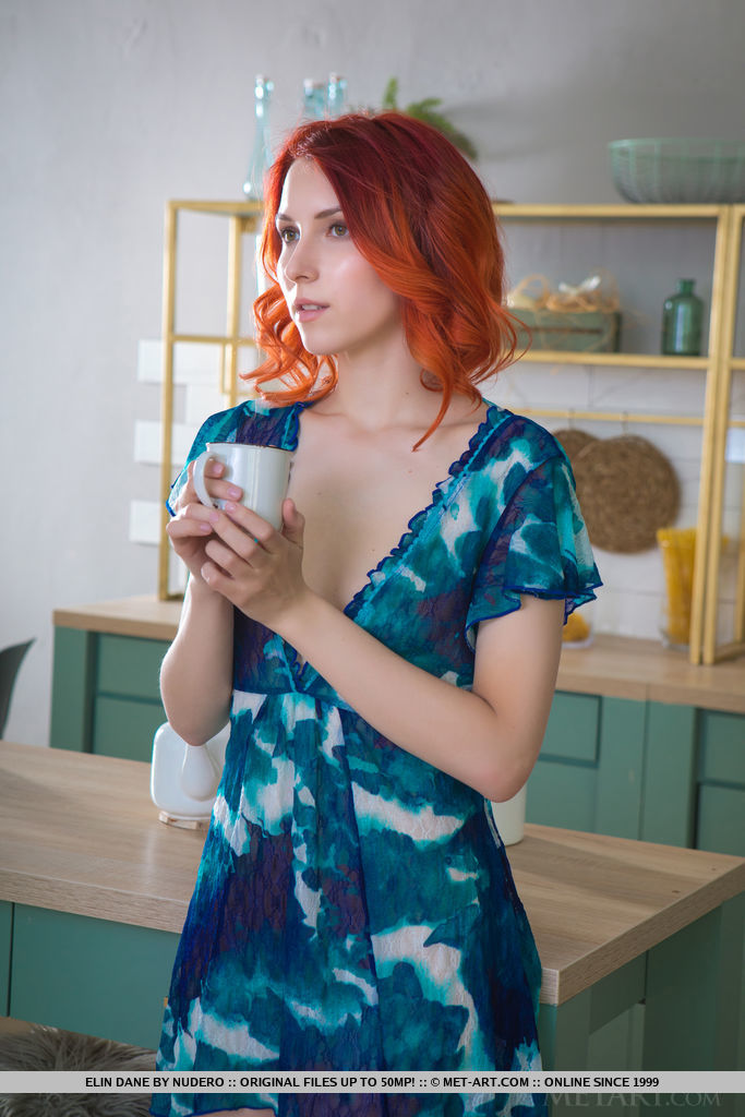 Ruiva Pálida Elin Dane Tira Toda A Roupa Na Cozinha Depois De Uma Xícara De Chá