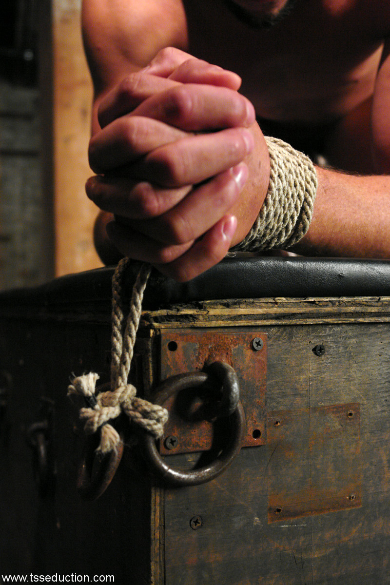 टीएस आकर्षण एडी और मिया इसाबेला के साथ नग्न तस्वीरें