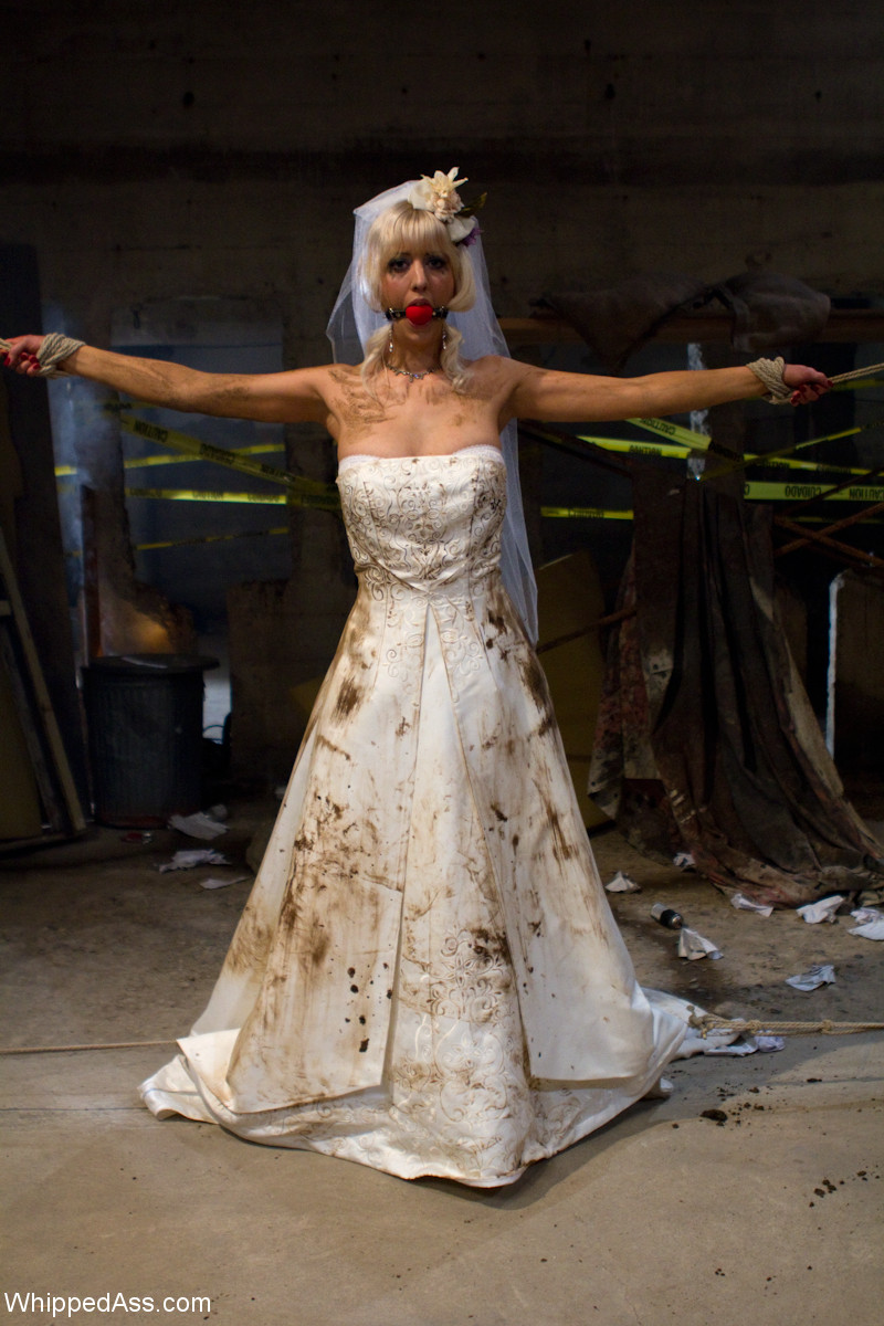 Cherry Torn Dia Zerva Lorelei Lee جلد المؤخرة عاري صور