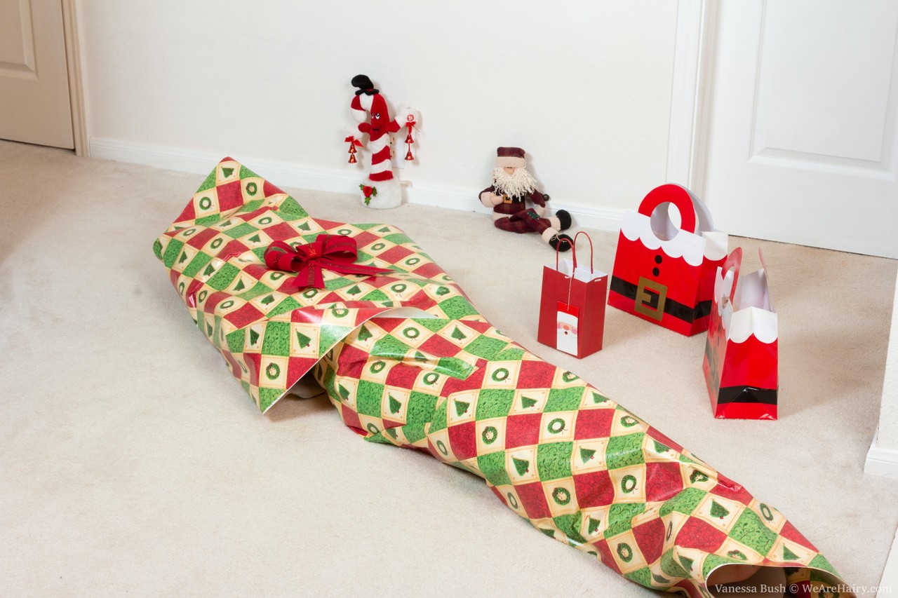 诱人的深色头发范妮莎布什在圣诞节玩弄她非常毛茸茸的阴道