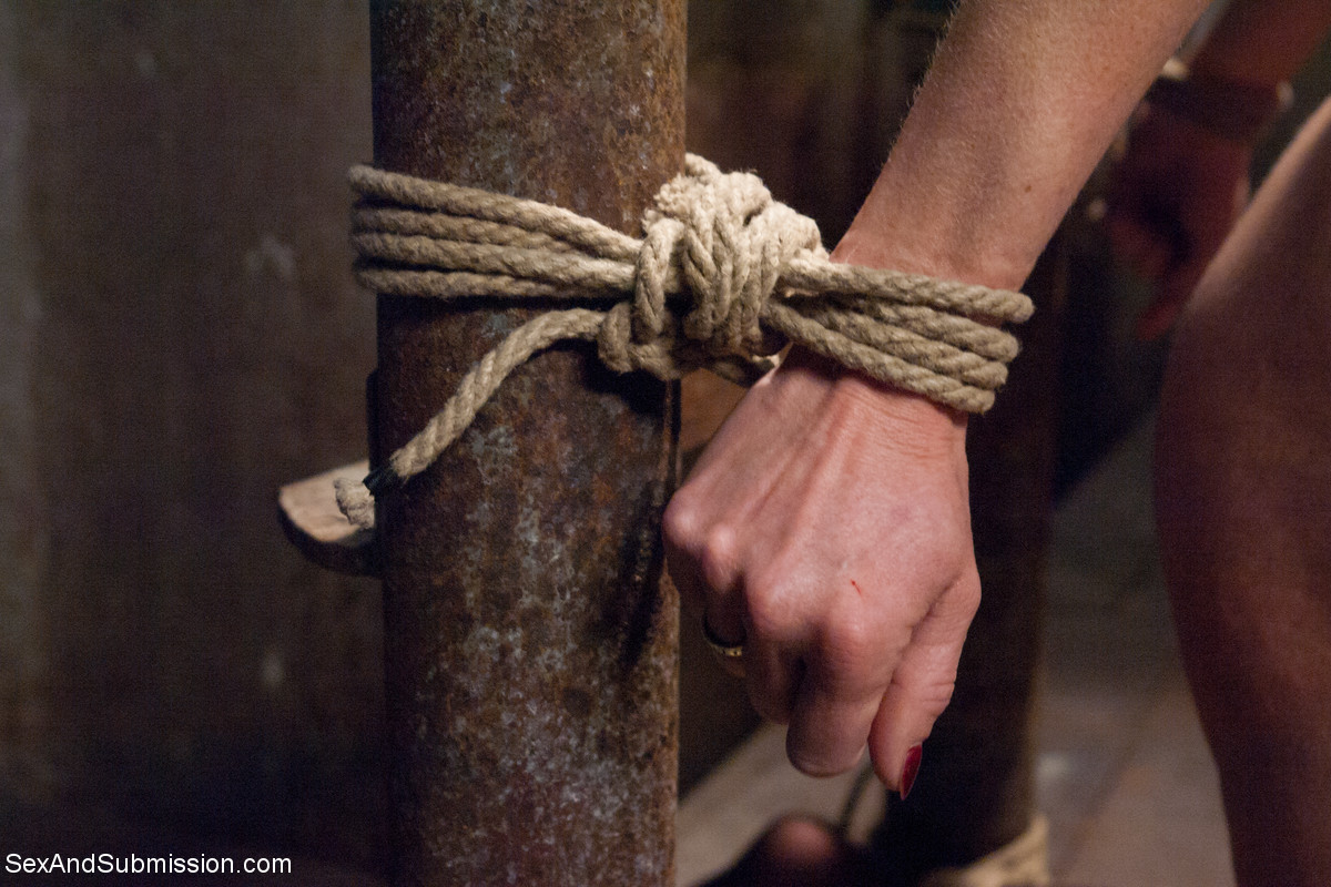 مربوطة بكرة مصيدة الفم milf فيرونيكا أفلوڤ جلدة وجماع في الوجه