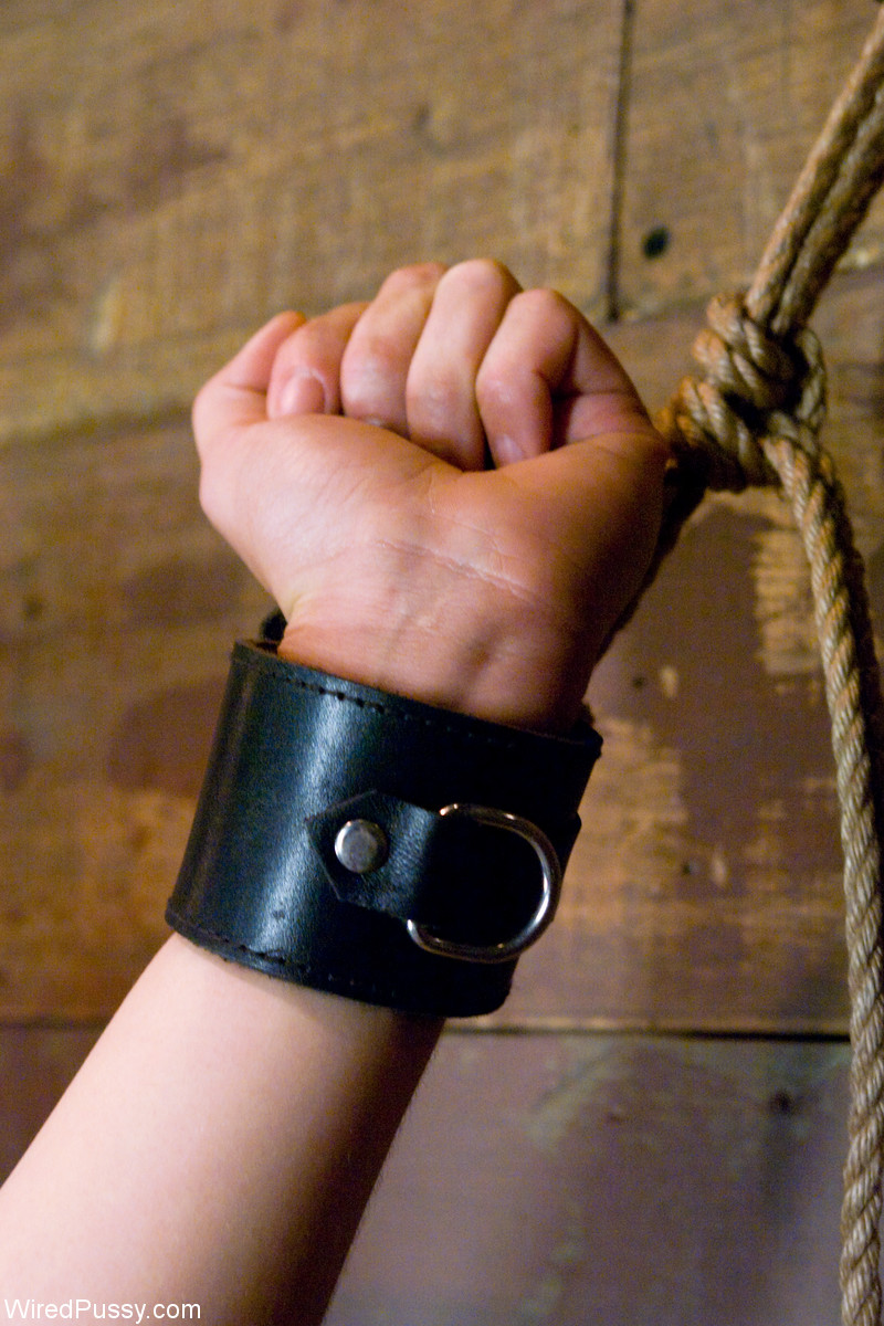 بوسي سلكي مع ساشا غراي وساتين فينيكس في عمل مثلية ساخن