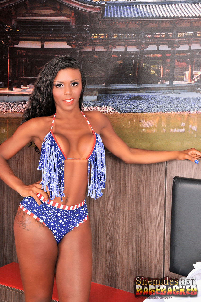 Dicker Schwanz Fickt Die Brasilianische Transe Viviane Silva In Den Heißen Arsch