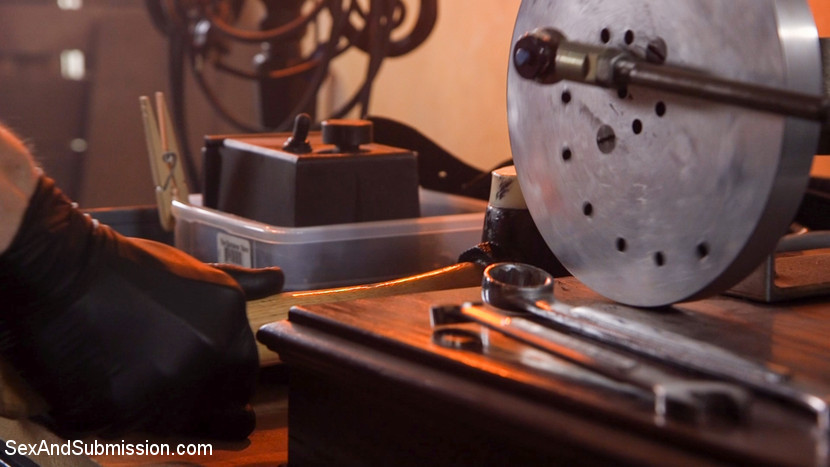 वायलेट मोनरो: पीली लाल सिर वाली तीन बार पेनेट्रेटेड बॉडेज में