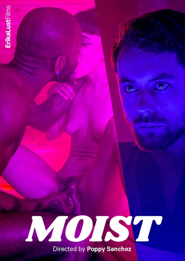 美丽毛发保利塔帕佩尔站立舔猫