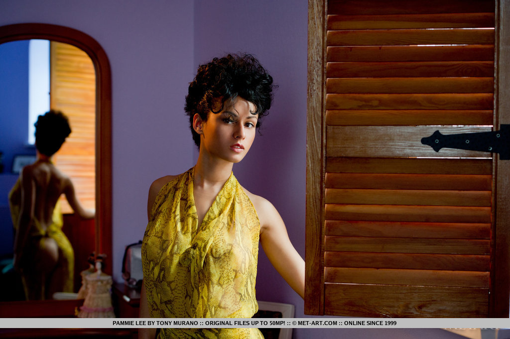 Cochonne Pammie Lee Se Déshabille Pour Montrer Sa Chatte Poilue En Gros Plan