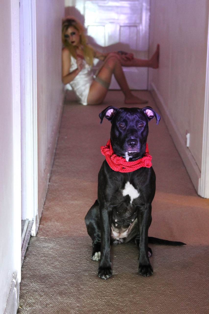 バストの豊かなジャスミン・ジェームズが入浴後とセックス後に精液をこぼす