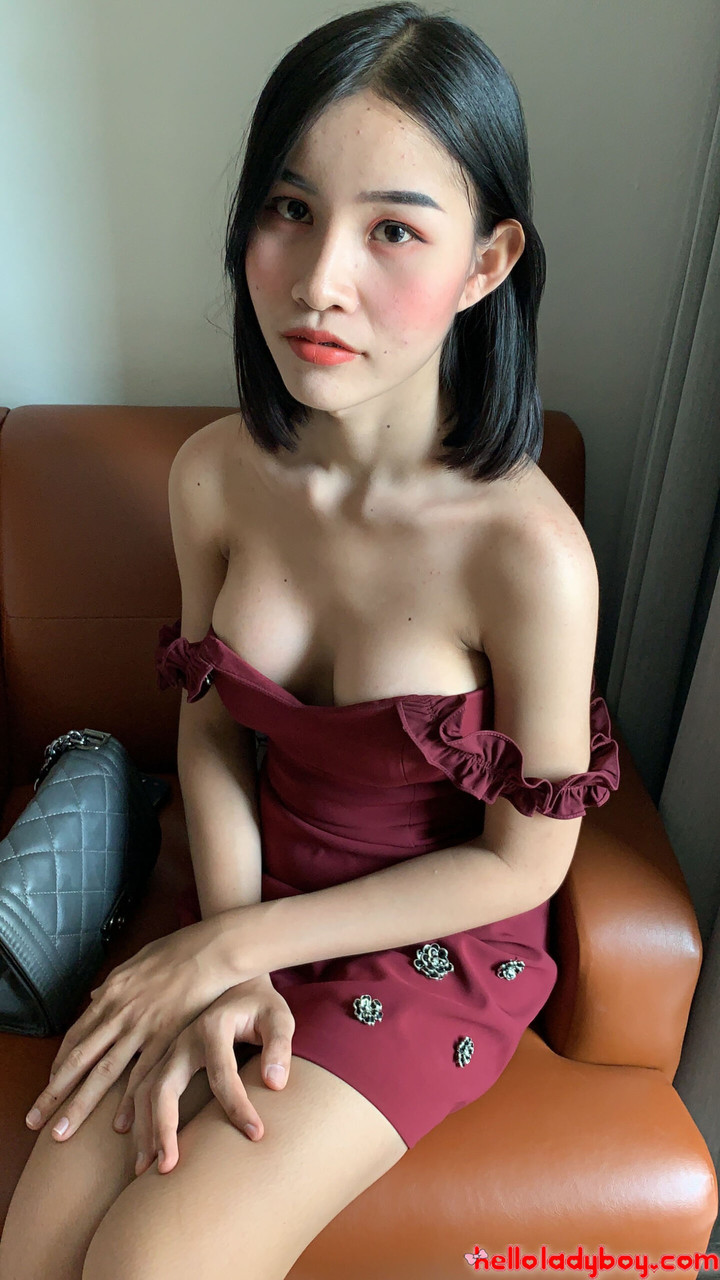 Asiatische Shemale Mit Schwarzen Haaren Präsentiert Stramme Titten In Spitzenunterwäsche