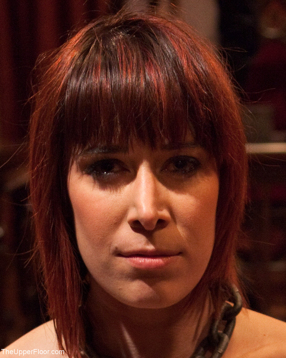 ディラン・ライアンとマエストロ・ステファノスのザ・アッパー・フロア・セックス・ギャラリー