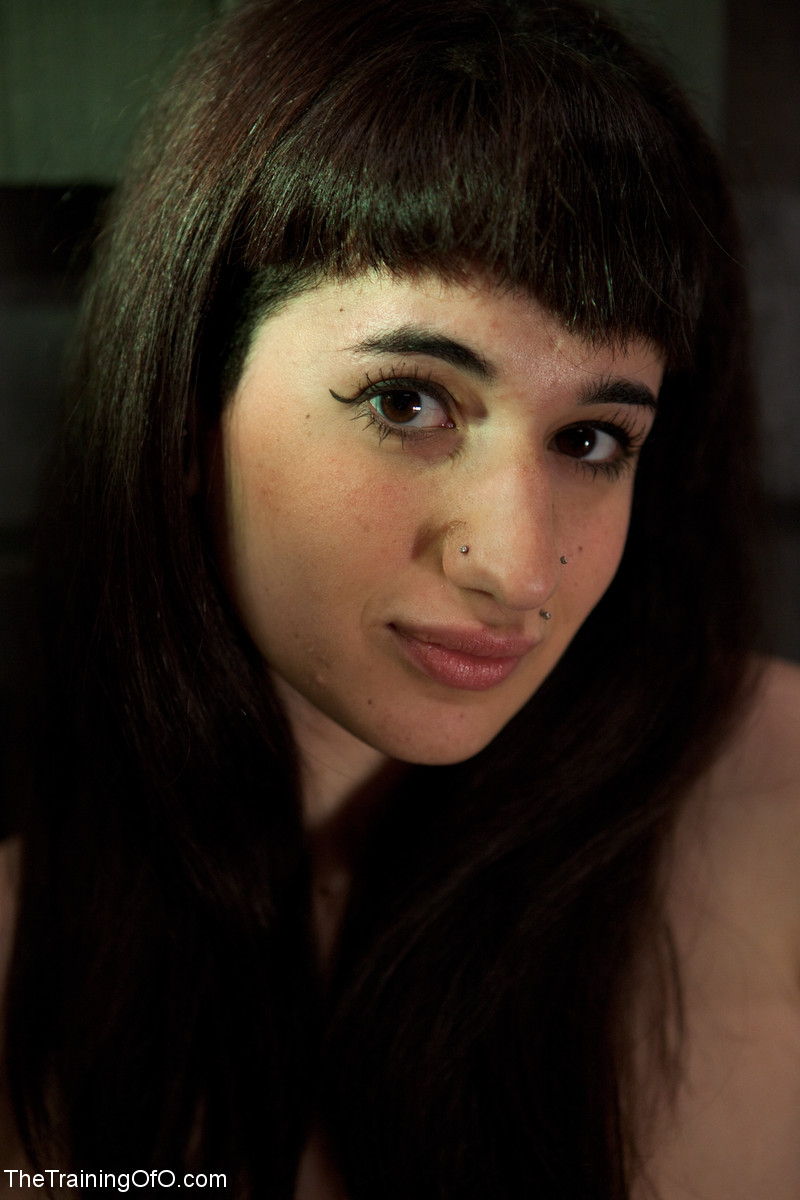 裸の美しい美女たちが男性ハンドラーに縄で拘束される