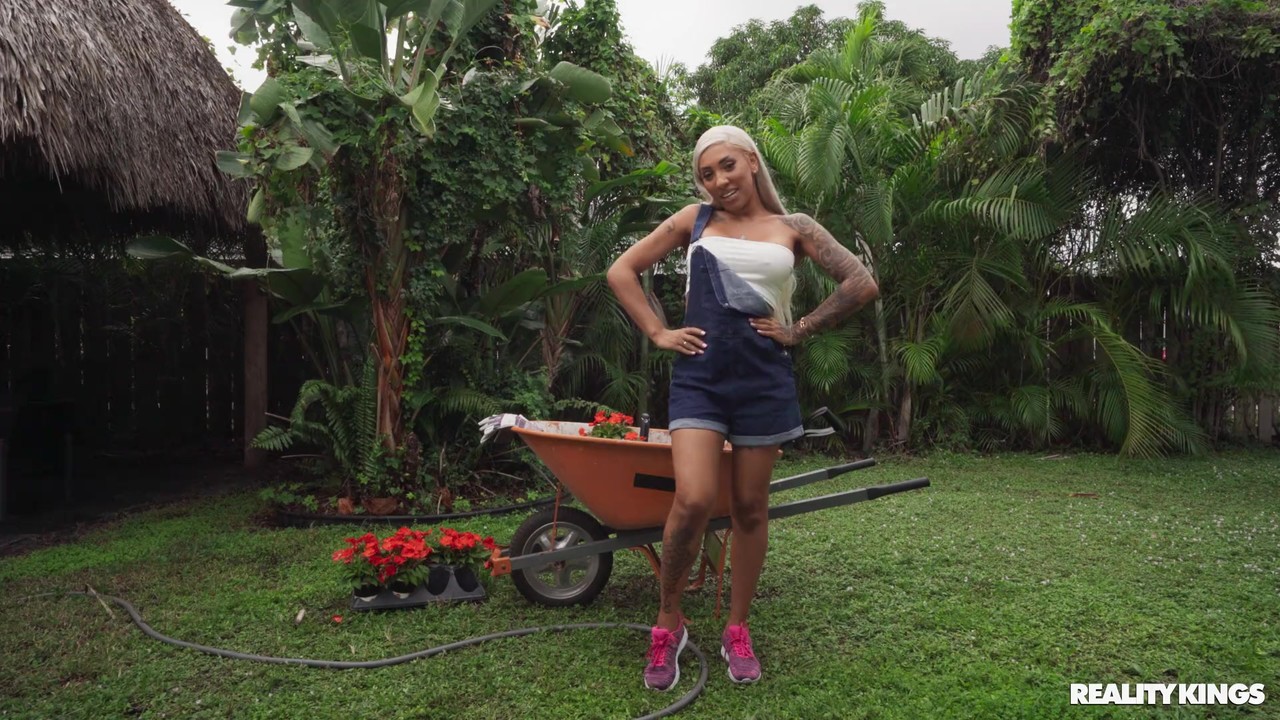 صور Reality Kings كونا جايد لوجان زاندر الإباحية