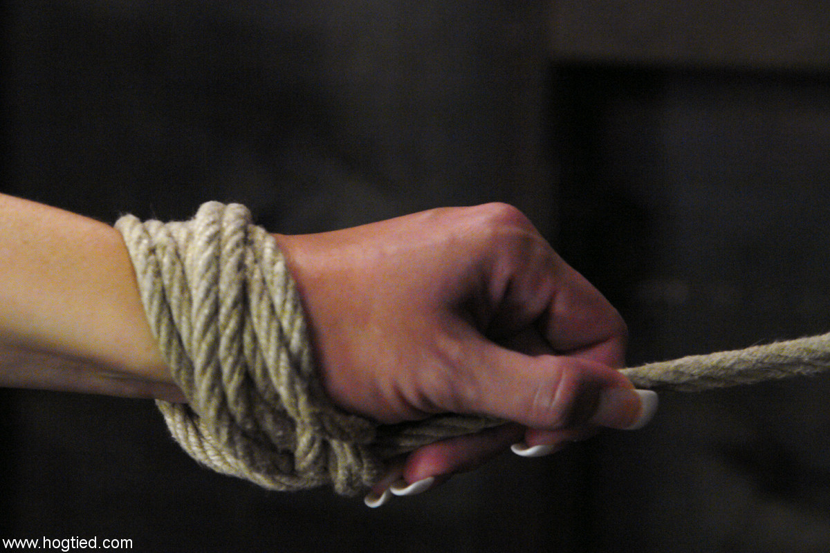 Hogtied Lorelei Lane Bondage Sex Gallery