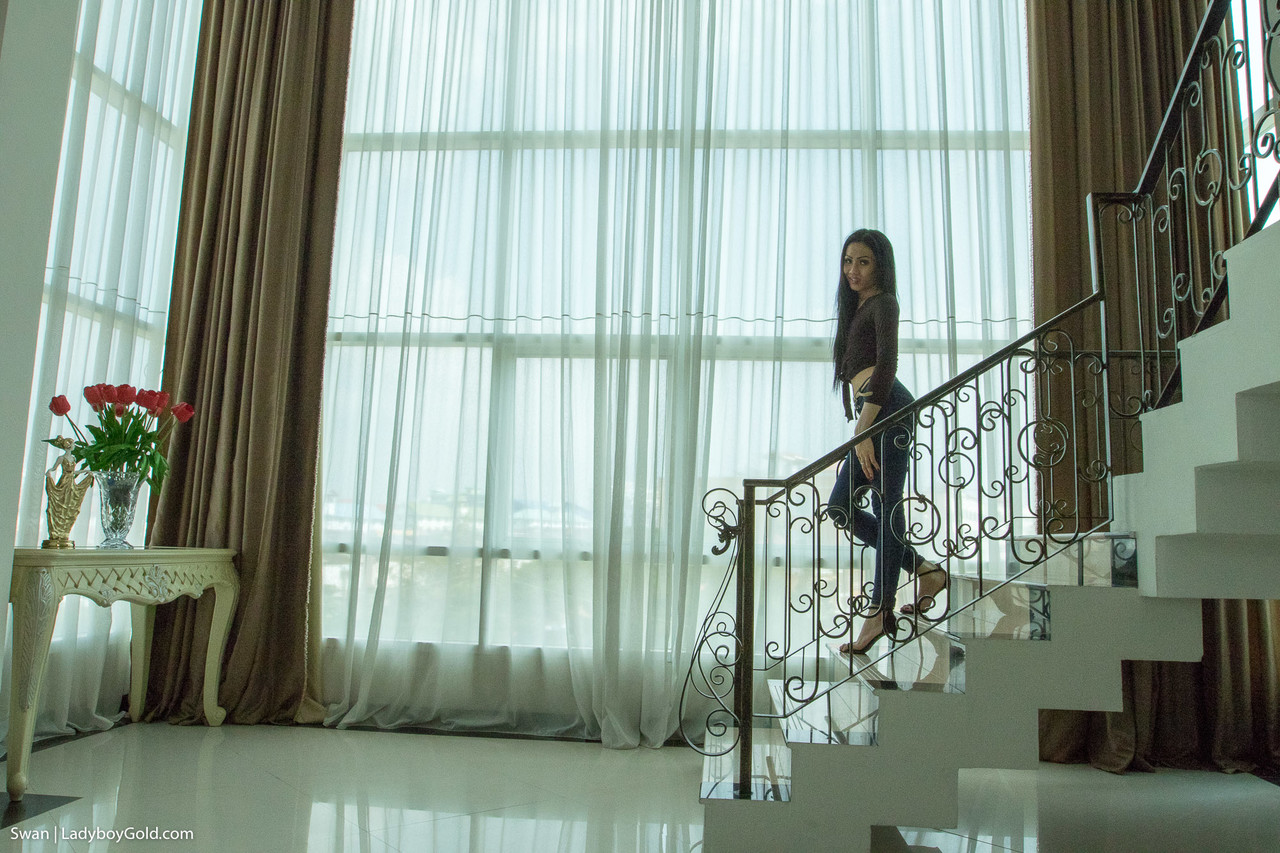 Slim Asian Ladyboy Swan In Raw Bareback Anal With Horny Stud