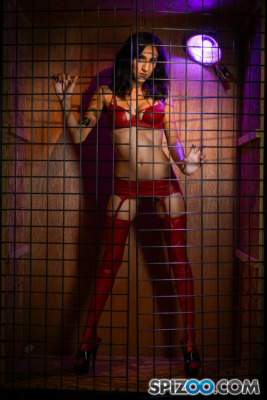 Destiny Lovee：可爱的黑发美女穿着性感红色内衣在笼子里摆姿势