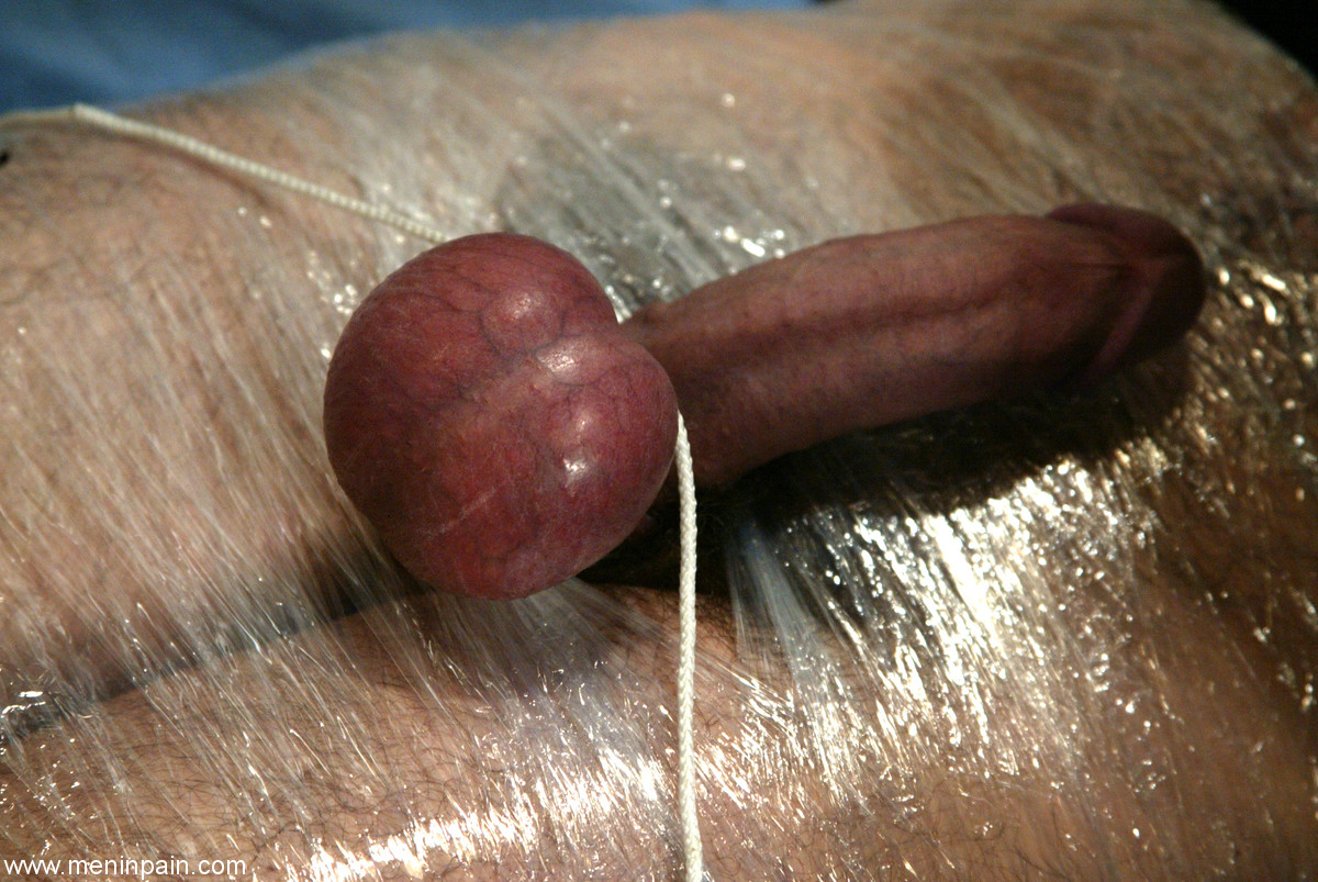 Jasmine Byrne And Mistress Aradia In Men In Pain Porn Images