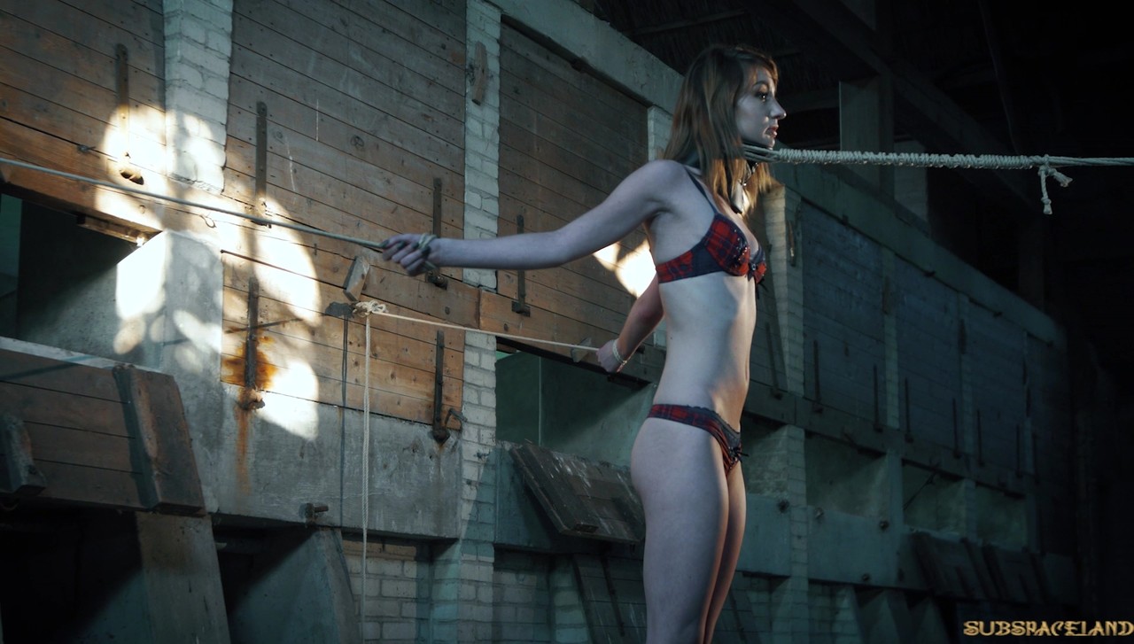 बंधी हुई नोआ लिविया वाइब्रेटर उत्तेजना के साथ चीखती और कराहती है